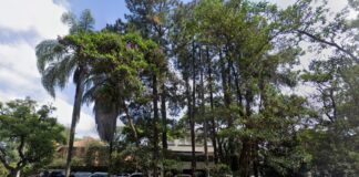 dois-gcms-sao-baleados-ao-evitar-invasao-de-casa-em-bairro-nobre-de-sp