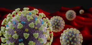 nb18.1:-o-que-sabemos-ate-agora-sobre-a-nova-variante-do-coronavirus