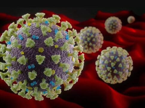 nb18.1:-o-que-sabemos-ate-agora-sobre-a-nova-variante-do-coronavirus