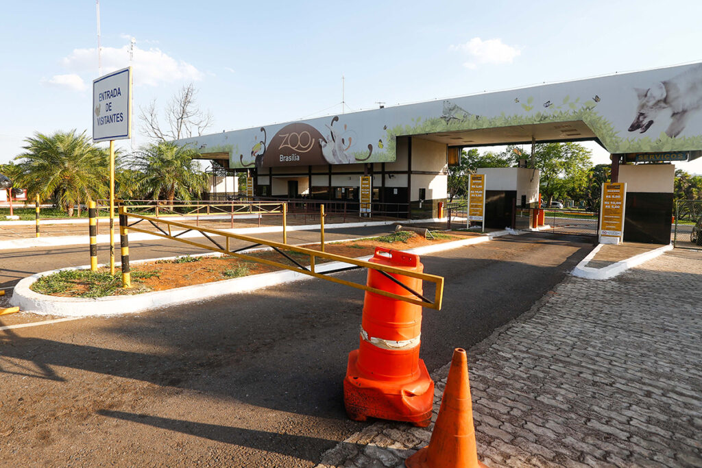 exame-confirma-gripe-aviaria-em-animal-morto-no-zoologico-de-brasilia