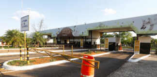 exame-confirma-gripe-aviaria-em-animal-morto-no-zoologico-de-brasilia