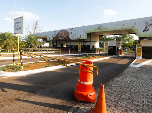 exame-confirma-gripe-aviaria-em-animal-morto-no-zoologico-de-brasilia