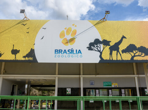 gripe-aviaria:-zoo-de-brasilia-permanecera-fechado-ate-12-de-junho