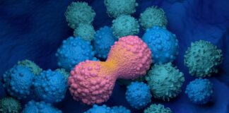 veja-principais-avancos-do-combate-ao-cancer-apresentados-na-asco-2025