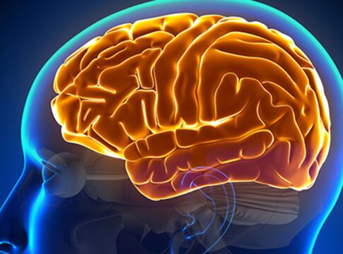 entenda-a-hidrocefalia-normobarica,-causa-da-cirurgia-de-chico-buarque