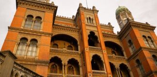 rio:-fiocruz-oferece-curso-a-jovens-artistas-em-vulnerabilidade-social