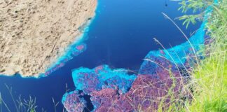 patos-azuis:-empresas-envolvidas-em-crime-ambiental-pagarao-r$-370-mil