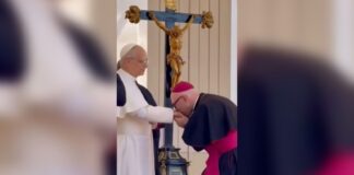 bispo-auxiliar-de-brasilia-se-encontra-com-o-papa-leao-xiv-no-vaticano