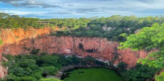 sucuri,-jacare-e-macaco:-conheca-os-habitantes-do-buraco-das-araras