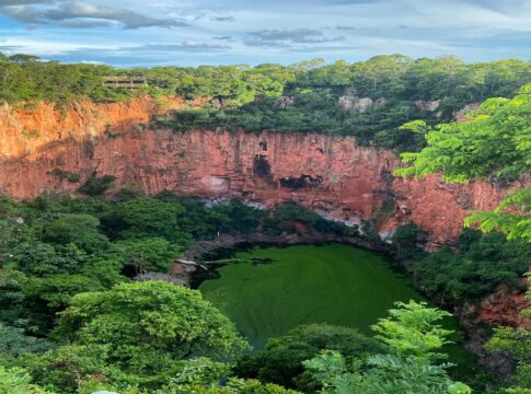 sucuri,-jacare-e-macaco:-conheca-os-habitantes-do-buraco-das-araras