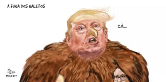 charge-do-aroeira