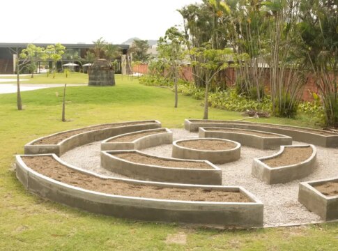 museu-do-pontal-lanca-programacao-voltada-a-conscientizacao-ambiental