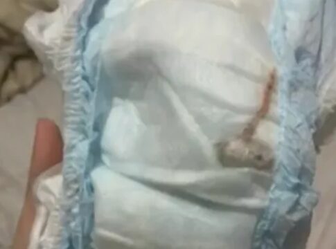 rio:-“rato”-encontrado-em-fralda-de-bebe-era-um-pedaco-de-plastico