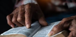 censo:-analfabetos-sao-maioria-catolicos-e-de-religioes indigenas