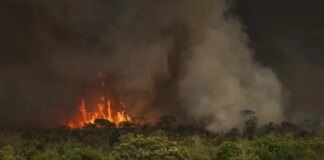 queimadas-fazem-desmatamento-crescer-92%-na-amazonia