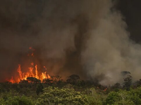 queimadas-fazem-desmatamento-crescer-92%-na-amazonia-em-maio