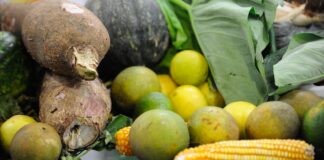 preco-da-cesta-basica-cai-em-15-de-17-capitais-pesquisadas