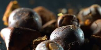 “ouro-bovino”:-por-que-pedras-da-vesicula-do-boi-valem-tanto?