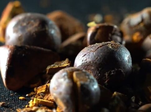 “ouro-bovino”:-por-que-pedras-da-vesicula-do-boi-valem-tanto?