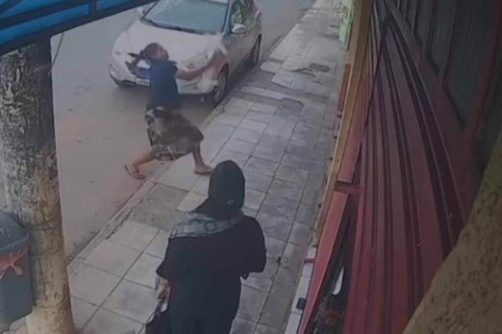 protetora-salva-cachorrinho-de-queda-de-predio-no-df.-veja-video