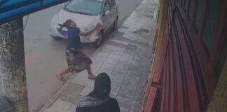 protetora-salva-cachorrinho-de-queda-de-predio-no-df.-veja-video