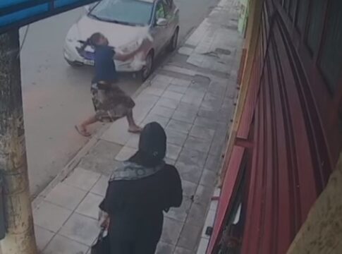 protetora-salva-cachorrinho-de-queda-de-predio-no-df.-veja-video