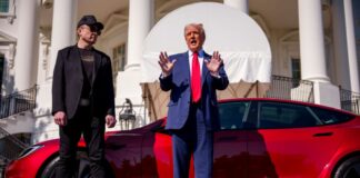 trump-e-musk,-o-fim-de-um-casamento-toxico-(por-tiago-luz-pedro)