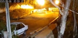 video.-apos-ataque-frustrado-a-cao,-onca-volta-a-casa-em-corumba