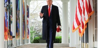 trump:-musk-enfrentara-“consequencias-serias”-se-financiar-democratas