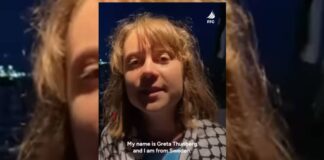 greta-thunberg-se-pronuncia-apos-interceptacao-de-barco-com-brasileiro