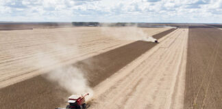 em-recuperacao-judicial,-agrogalaxy-tem-prejuizo-de-r$-153-milhoes