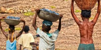 mais-de-6-mil-criancas-sao-resgatadas-do-trabalho-infantil-em-2-anos