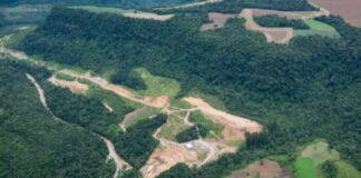 premio-dara-r$-30-mil-para-10-fotografos-por-obras-da-mata-atlantica