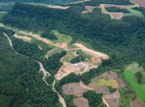 premio-dara-r$-30-mil-para-10-fotografos-por-obras-da-mata-atlantica