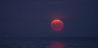 “lua-de-morango”-atinge-auge-nesta-quarta-(11/6).-saiba-como-observar