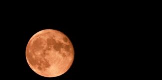 vespera-do-dia-dos-namorados-em-sp-tera-“lua-de-morango”.-veja-fotos