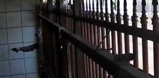 video:-trio-armado-rende-familia-e-rouba-carro-na-porta-de-casa-no-df