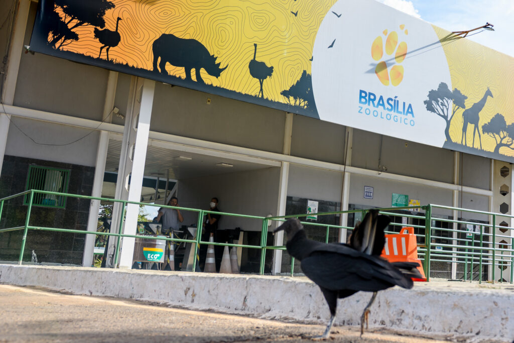 barreira-sanitaria-e-epis.-zoo-prepara-reabertura-apos-gripe-aviaria