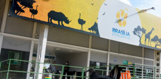 barreira-sanitaria-e-epis.-zoo-prepara-reabertura-apos-gripe-aviaria