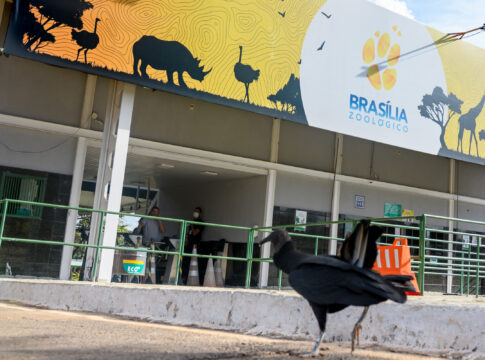 barreira-sanitaria-e-epis.-zoo-prepara-reabertura-apos-gripe-aviaria
