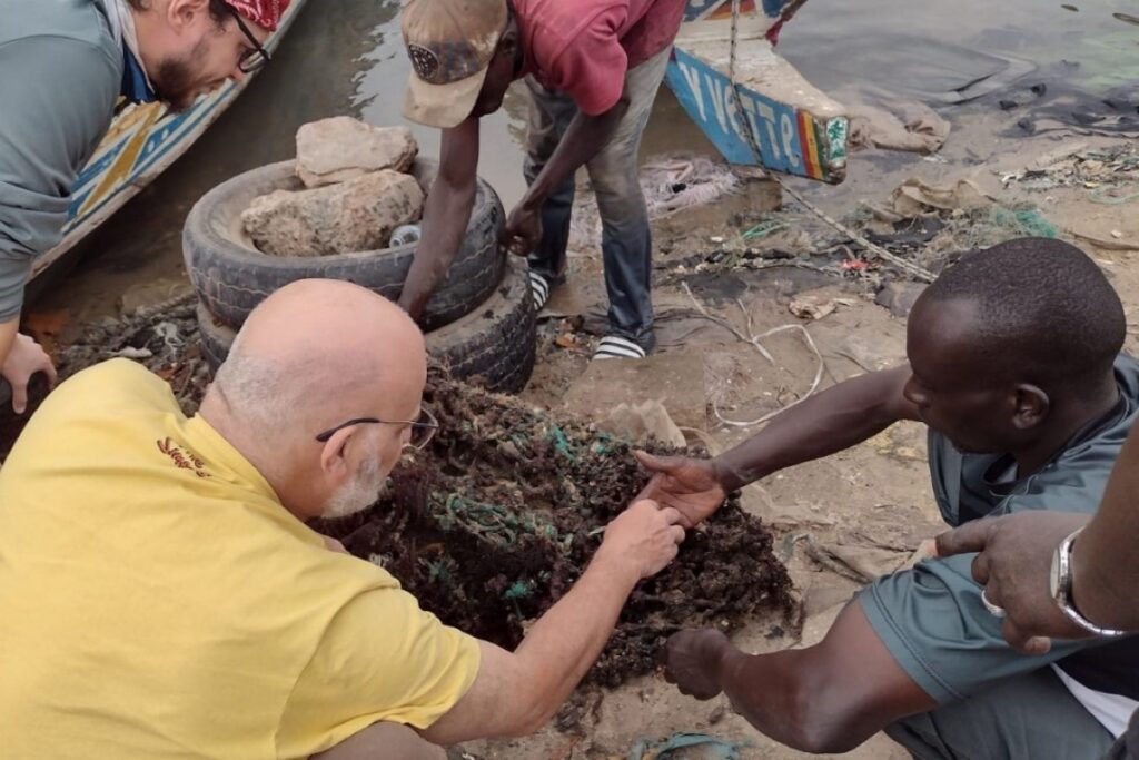 cientista-da-usp-denuncia-descarte-de-moluscos-da-gambia-no-aeroporto