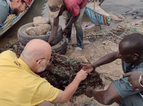 cientista-da-usp-denuncia-descarte-de-moluscos-da-gambia-no-aeroporto