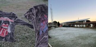 sc-registra-menor-temperatura-do-ano-com-carros-e-camisetas-congelados
