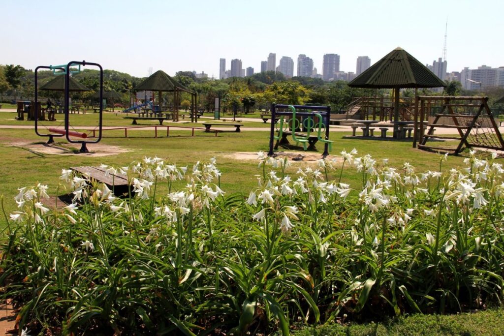 arsesp-multa-concessionaria-por-falhas-na-manutencao-de-parques-em-sp