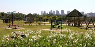 arsesp-multa-concessionaria-por-falhas-na-manutencao-de-parques-em-sp