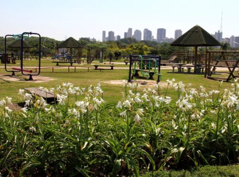 arsesp-multa-concessionaria-por-falhas-na-manutencao-de-parques-em-sp