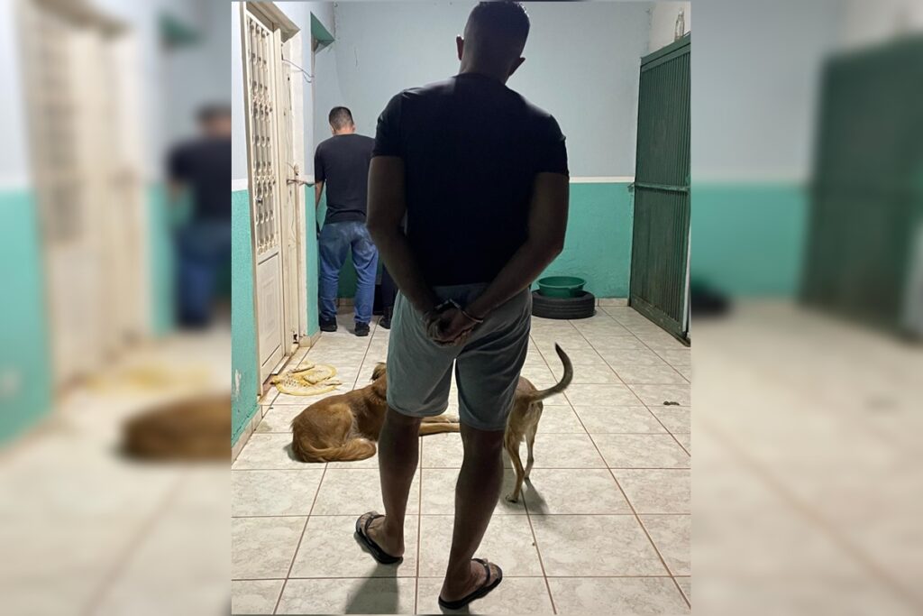 clinica-do-terror:-falso-veterinario-matou-caes-e-gatos-apos-cirurgias