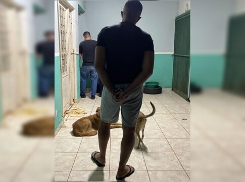 clinica-do-terror:-falso-veterinario-matou-caes-e-gatos-apos-cirurgias