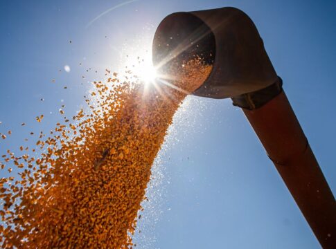 brasil-podera-ter-novo-recorde-na-producao-de-graos-na-safra-2024/2025