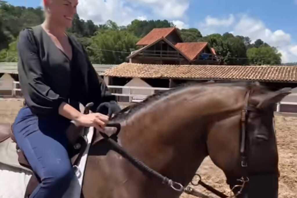 banco-tenta-penhorar-cavalo-que-ana-hickmann-ganhou-de-edu-guedes